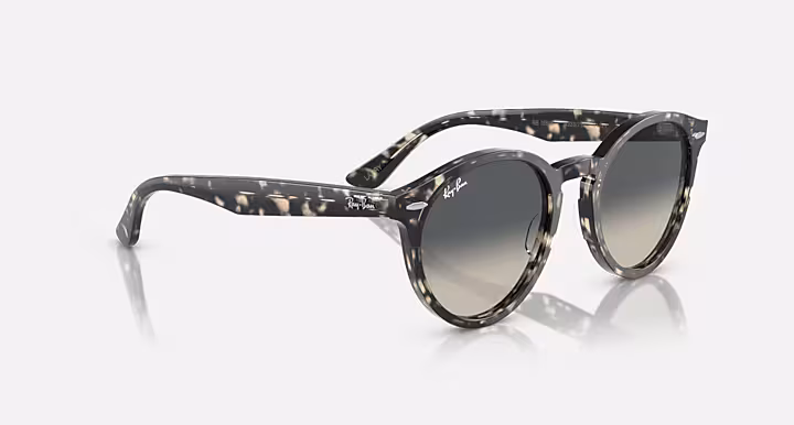 Ray-Ban LARRY