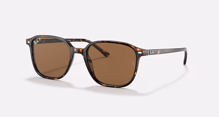 Ray-Ban LEONARD