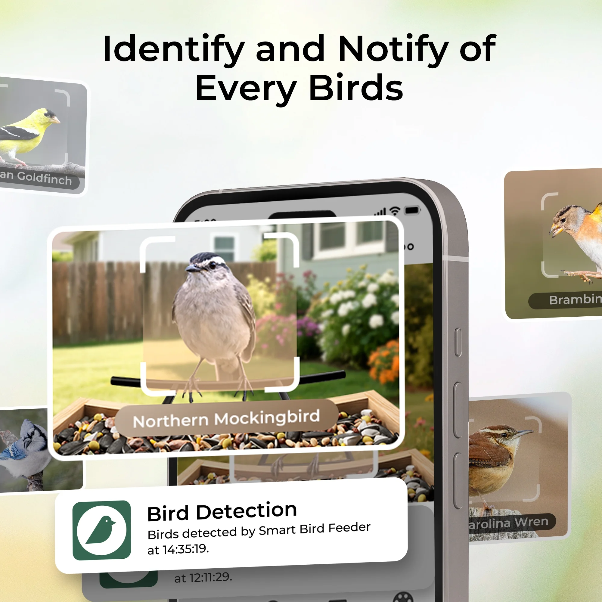 TT Nature Bird Feeder with Camera, AI Identify 10,000+ Species, Auto Capture, Real-Time Notifications, Upgraded for Bird Watching with Solar Panel, Perfect Gift for Bird Lovers - Image 2