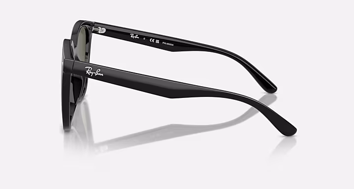 Ray-Ban RB4423D
