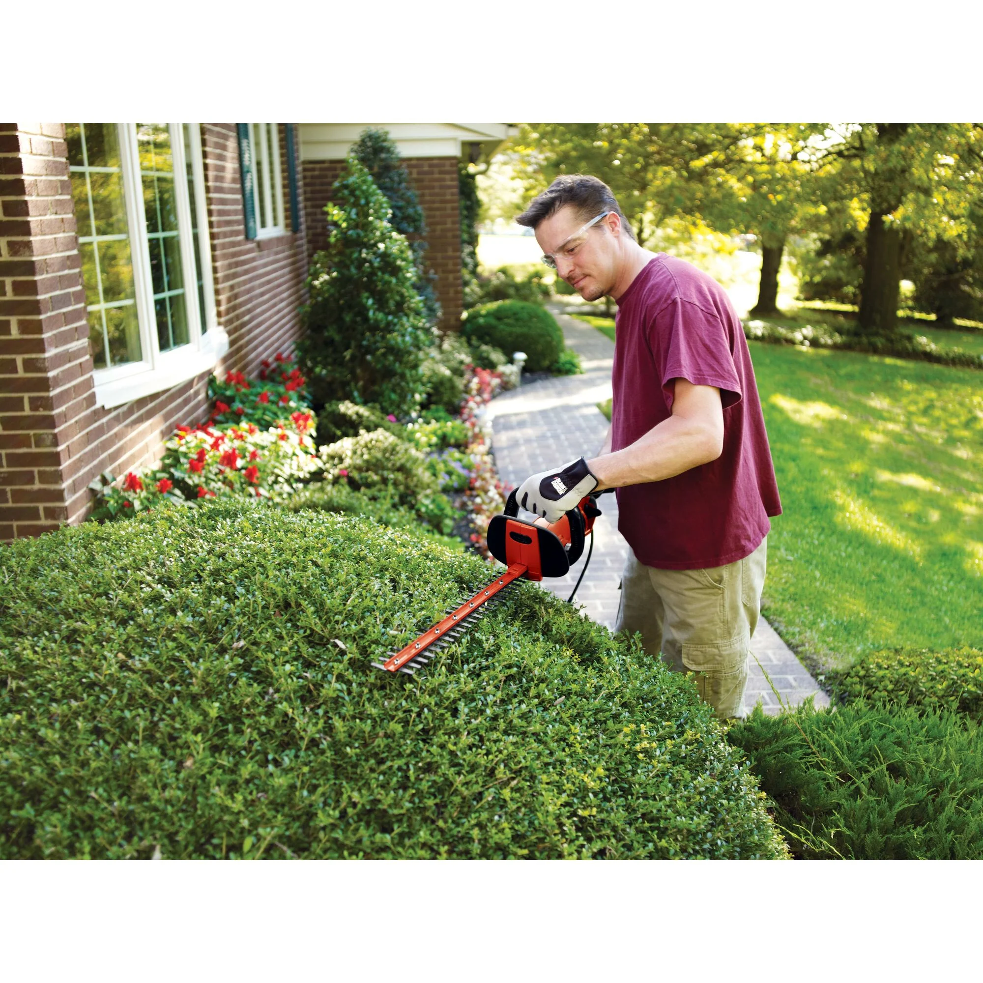 BLACK+DECKER HH2455 3.3 Amp HedgeHog 24" Hedge Trimmer with Rotating Handle - Image 14
