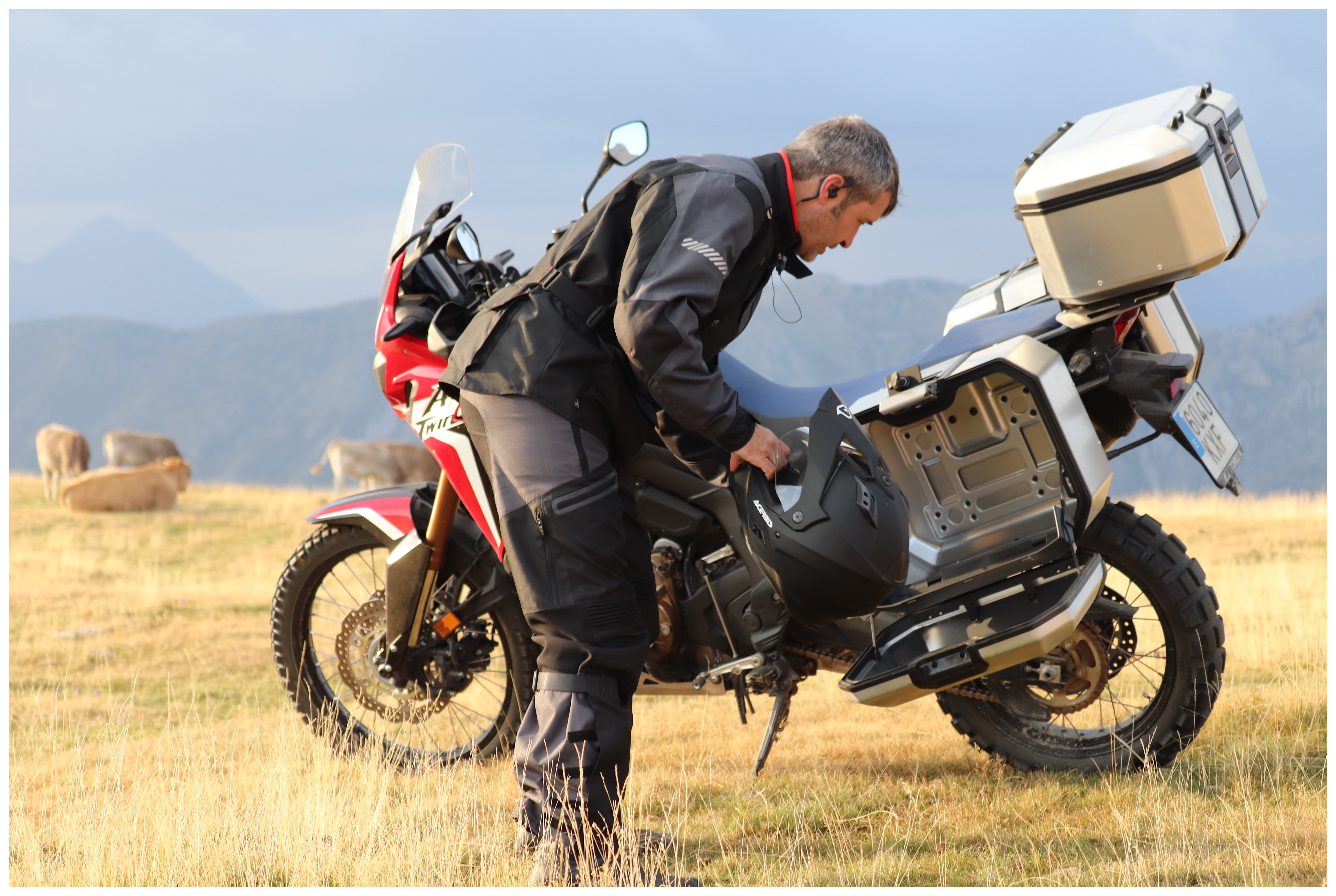 SportsBikeShop Shad TR47 Terra Side Case