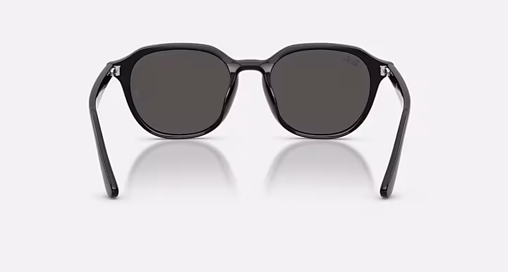Ray-Ban RB4459D