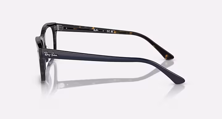 Ray-Ban BURBANK OPTICS