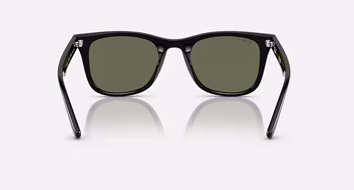Ray-Ban RB4420