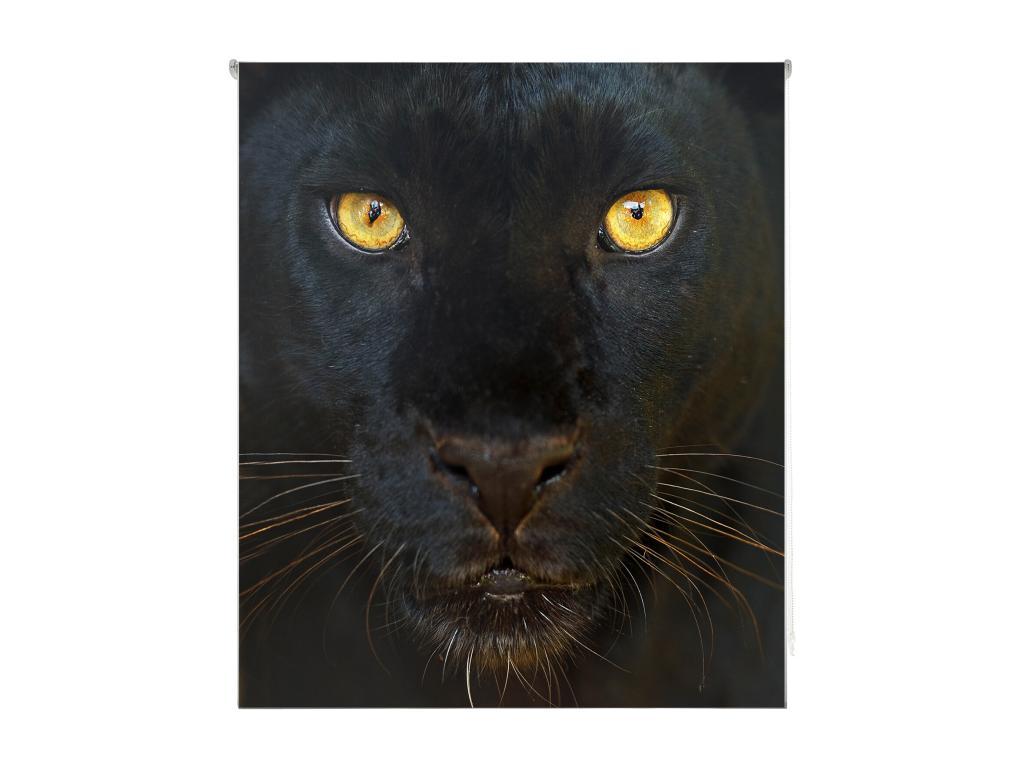 Mubdelu | Estores Personalizados ANIMALES | 150 x 180 cm (Ancho por Alto) Tamaño de Tela 147 x 175 cm | Modelo A-124 Color Unico