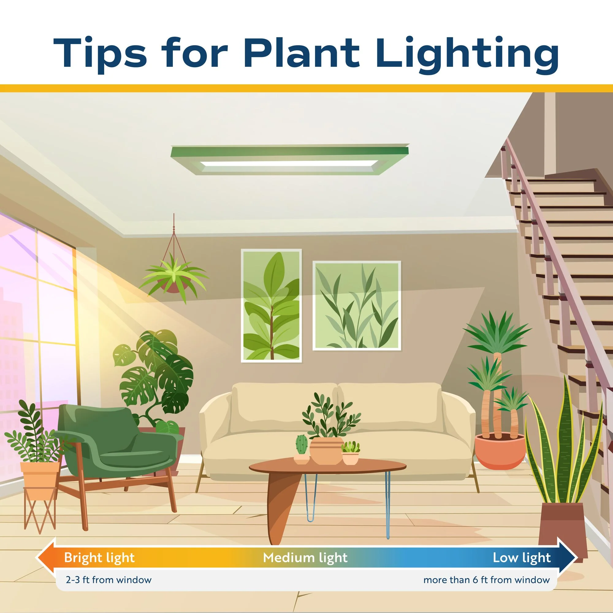 Costa Farms 42" Tall Pachira Braided Money Tree, Medium Indirect Sunlight, Indoor Live House Plants - Image 7
