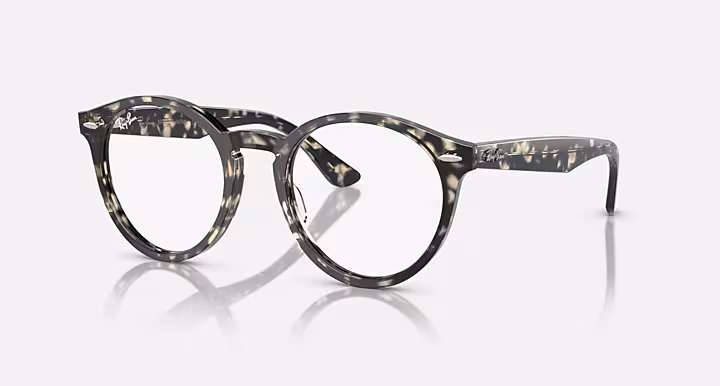 Ray-Ban LARRY OPTICS