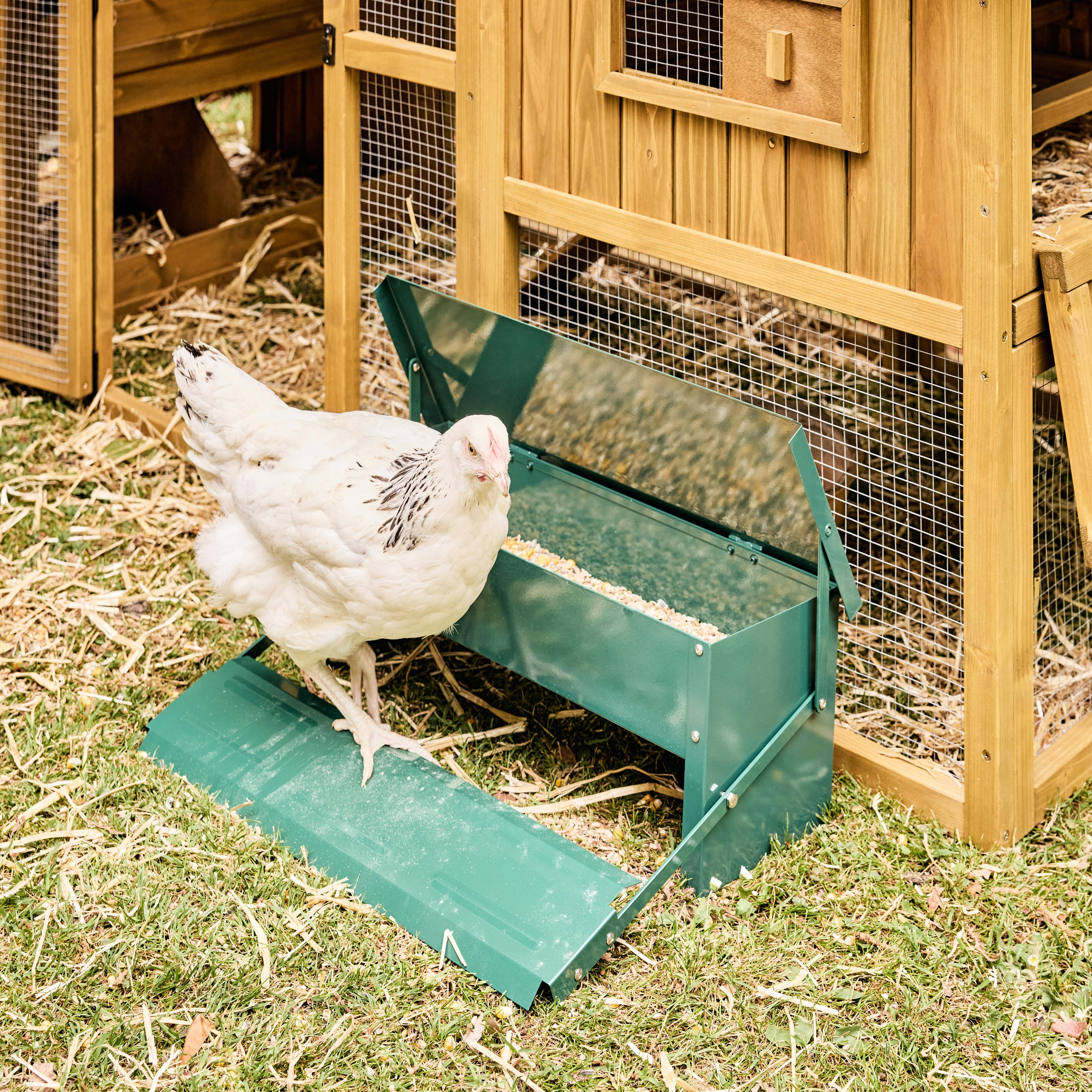 Comedero para pollos - Comedero automático para gallinas 5kg