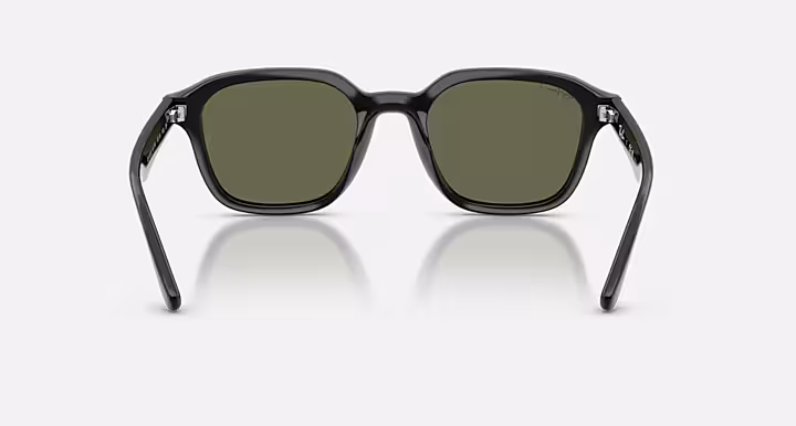 Ray-Ban RB4458D