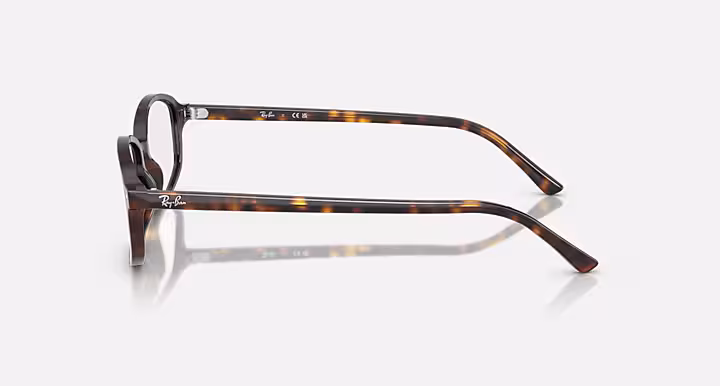 Ray-Ban SAM OPTICS