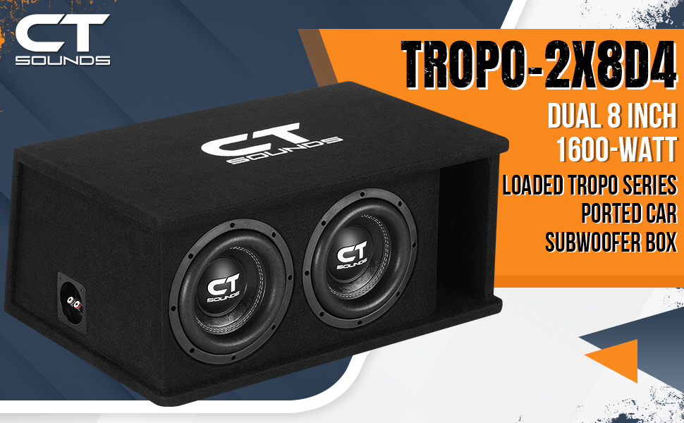 dual 8-inch loaded subwoofer box