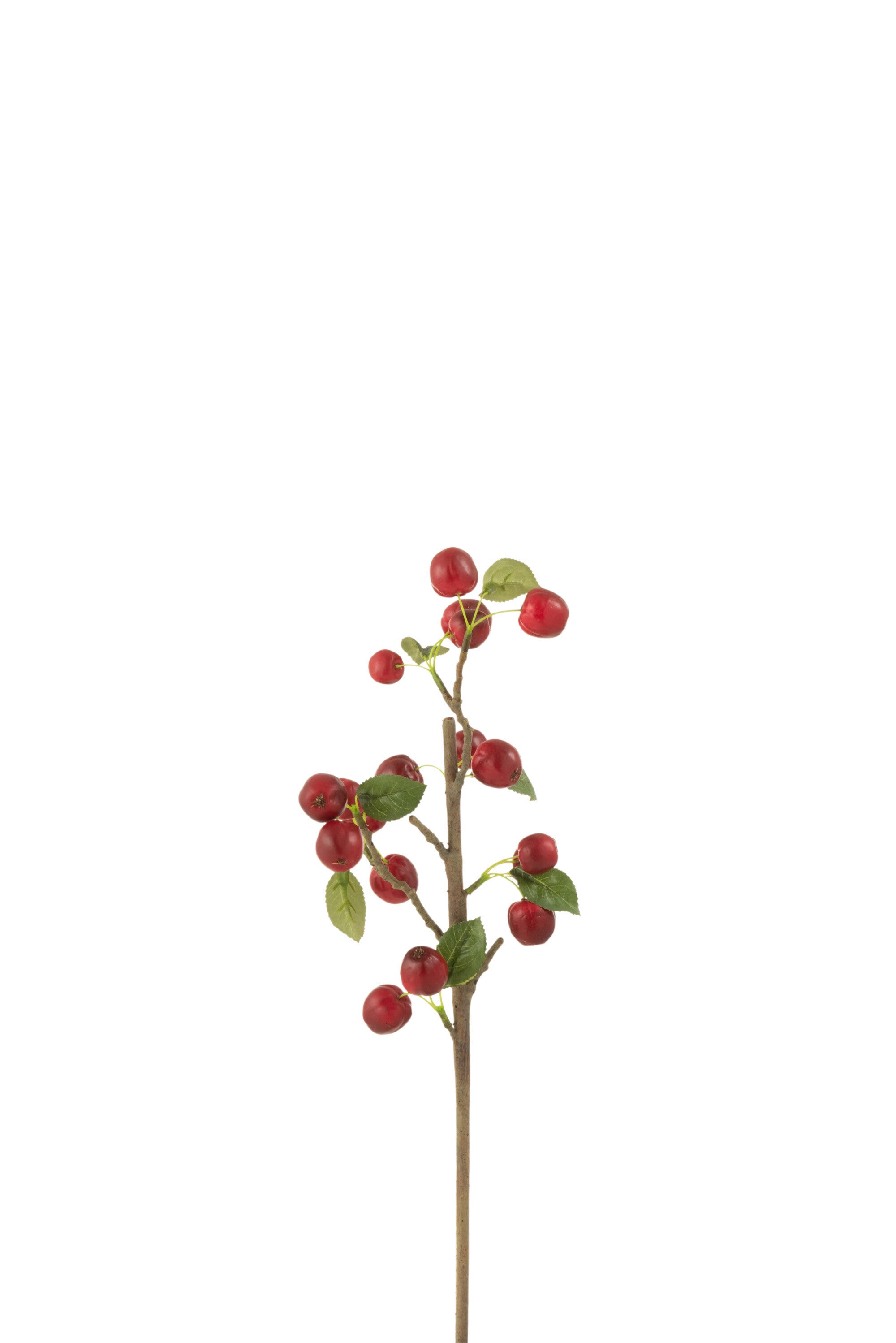 J-Line decoratie tak Bessen Dik - kunststof - rood groen - s