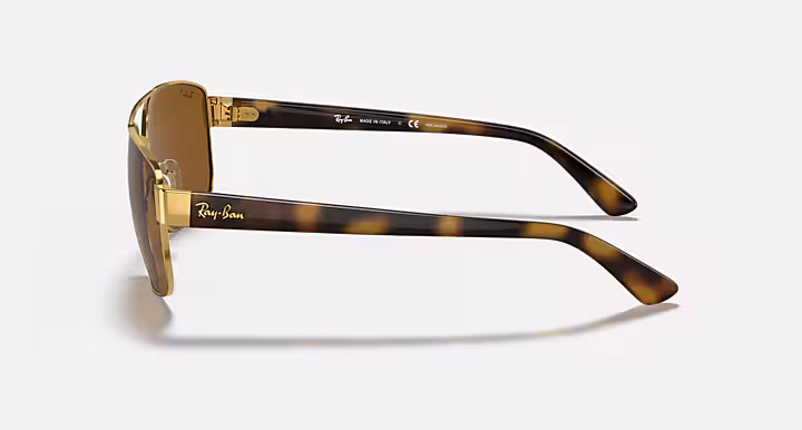 Ray-Ban RB3663