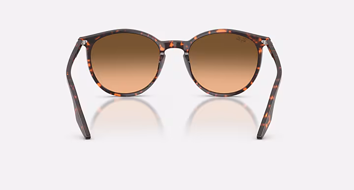 Ray-Ban RB2204
