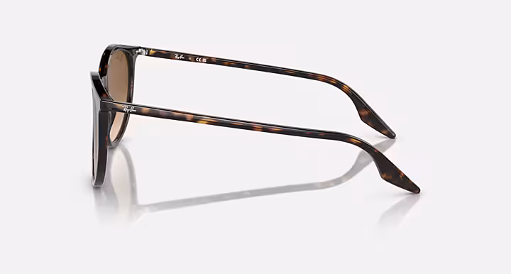 Ray-Ban RB2204