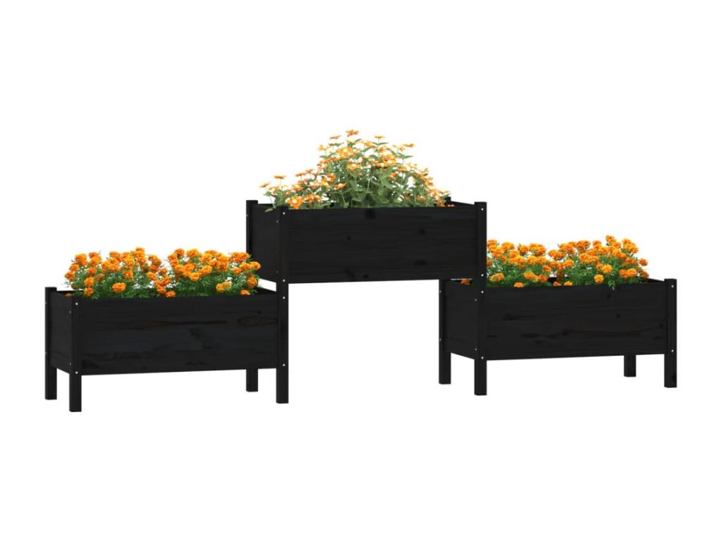 Decoratodo madera maciza de pino negro 245,5x44x75 cm
