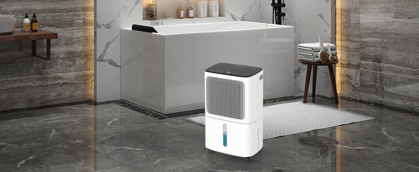 dehumidifier for bathroom