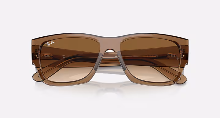 Ray-Ban CARLOS