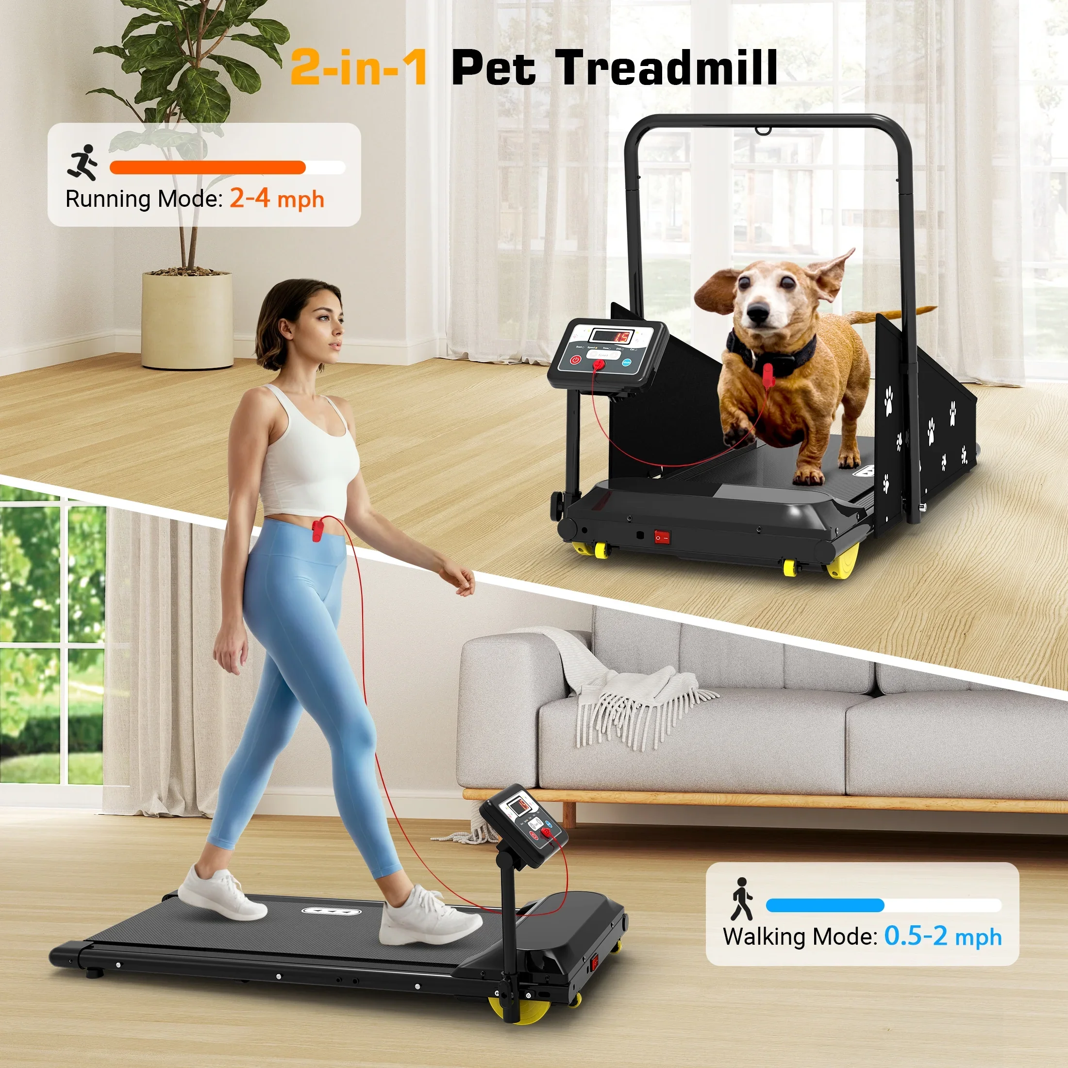 Hapycity Dog Treadmill, Indoor Pet Fitness Machine for Small & Medium Dogs, 265LB Capacity, LCD Display & Remote