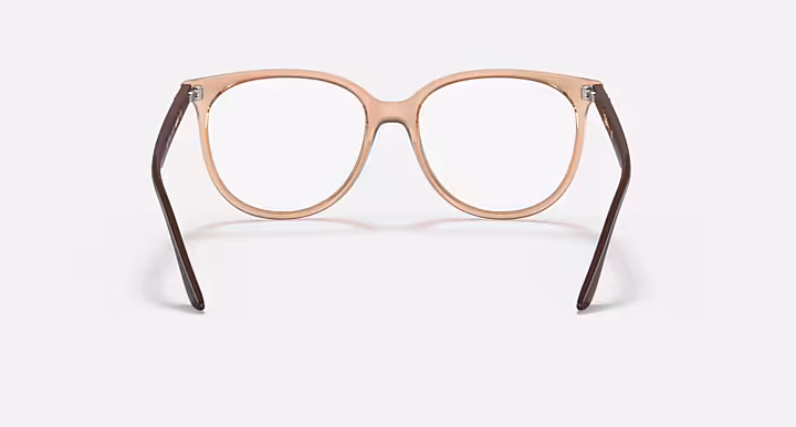 Ray-Ban RB4378V OPTICS