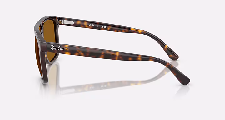 Ray-Ban RB2213