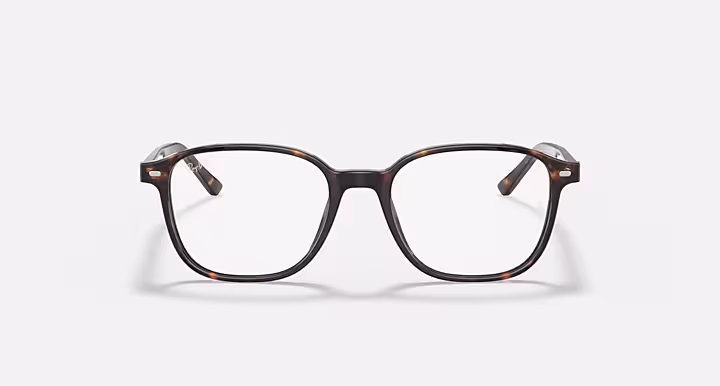 Ray-Ban LEONARD OPTICS