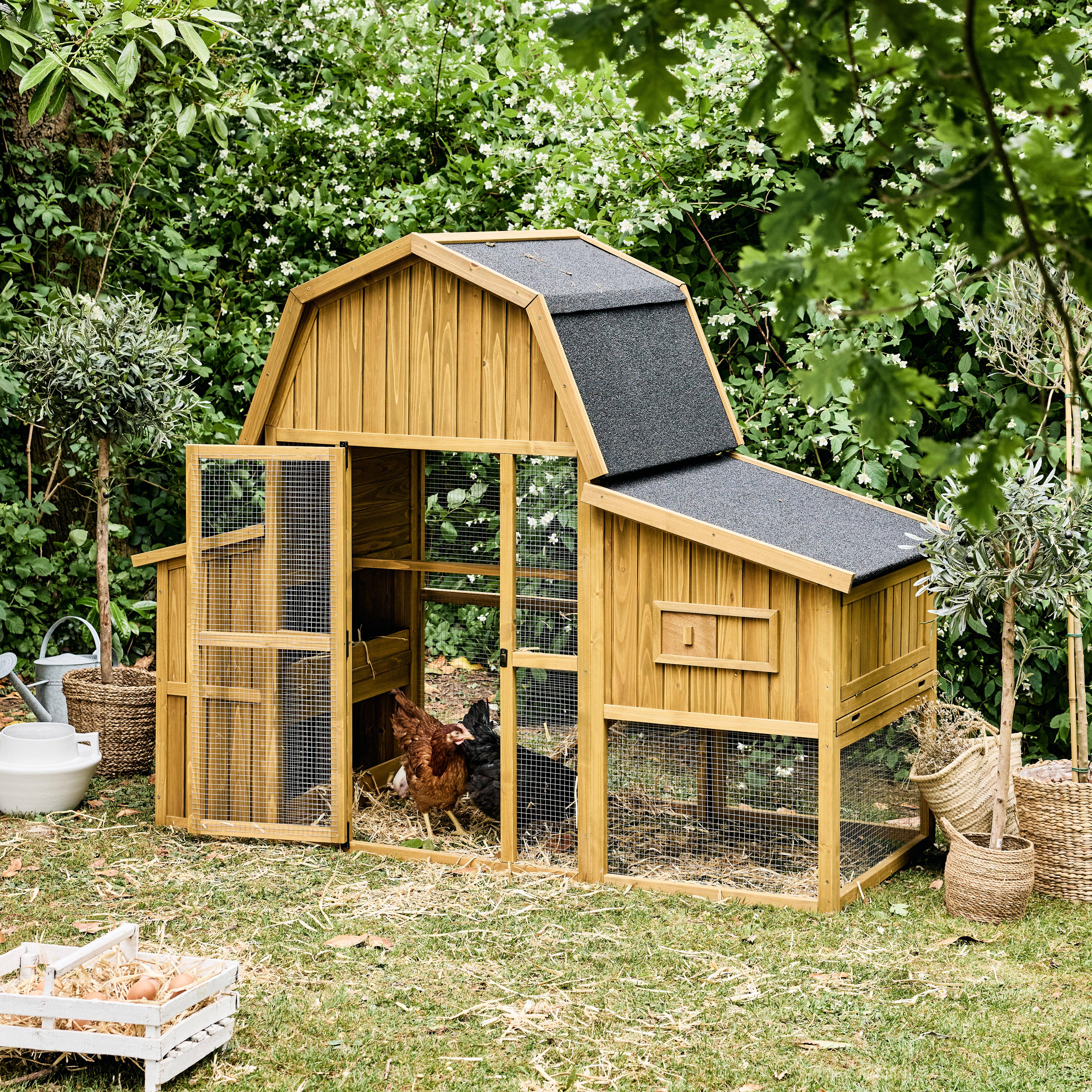 Gasconne - Gallinero en madera de abeto para 6 gallinas
