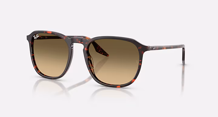 Ray-Ban RB2203