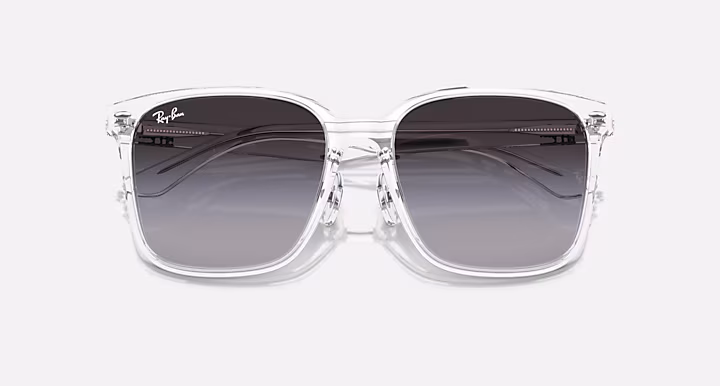 Ray-Ban RB2206D