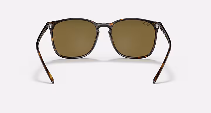 Ray-Ban RB4387