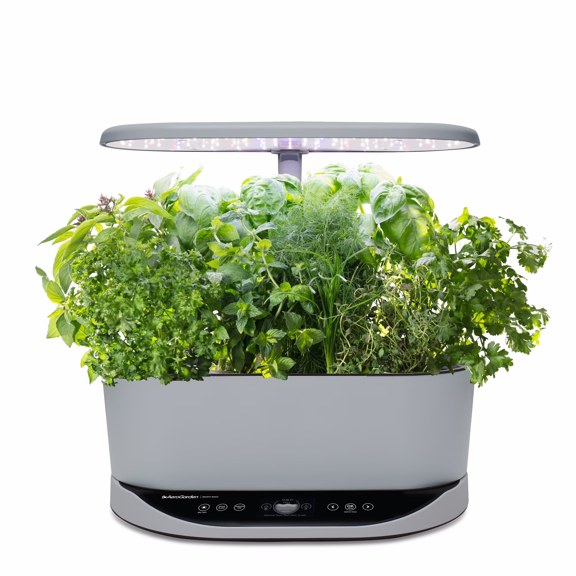 AeroGarden Bounty Basic - Indoor Garden with LED Grow Light, Black - Image 3