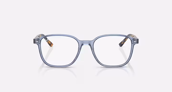 Ray-Ban LEONARD OPTICS