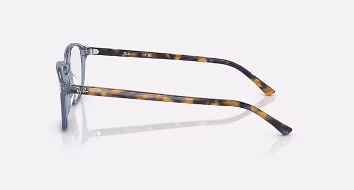 Ray-Ban LEONARD OPTICS