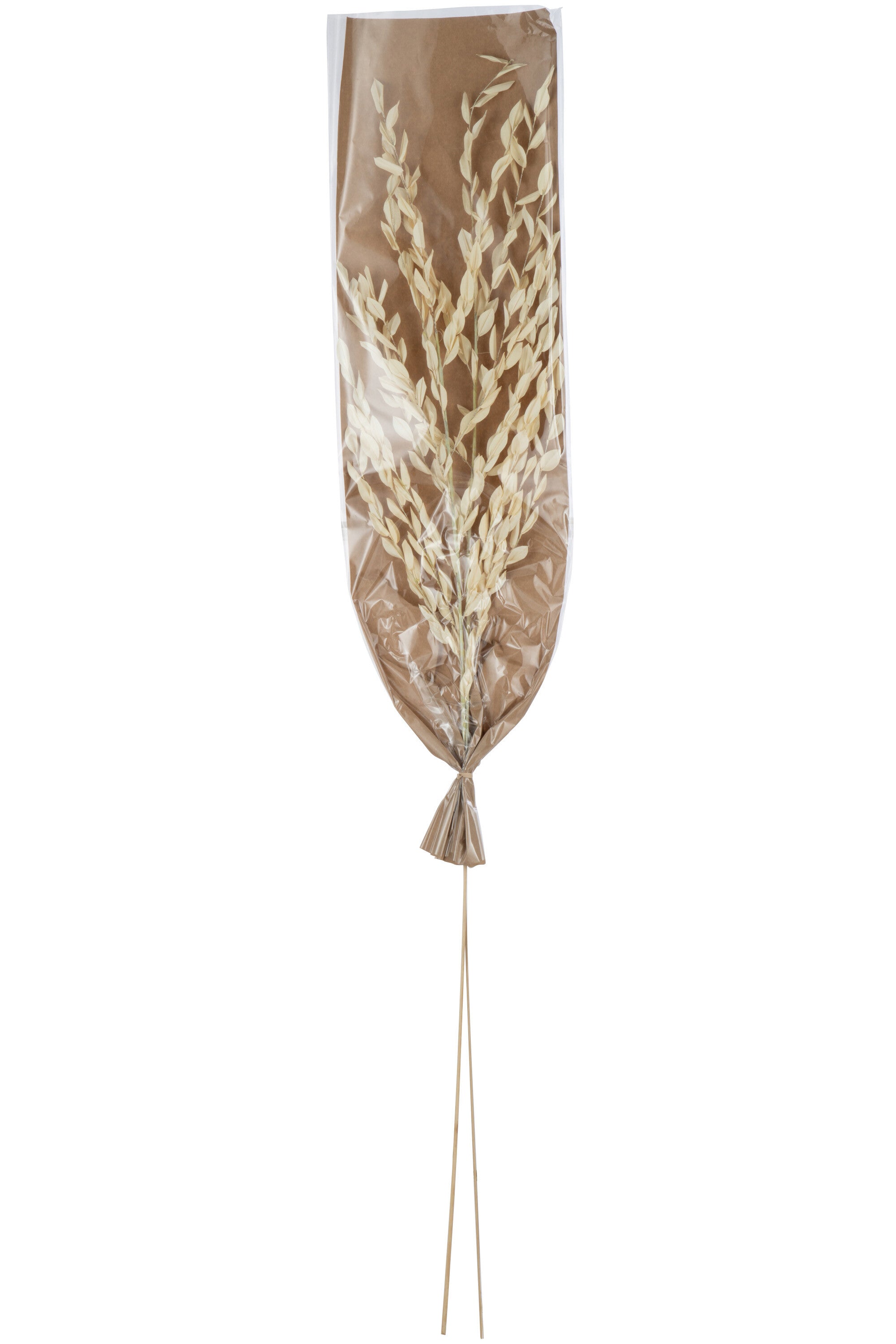 J-Line gedroogde Bladeren - jute - naturel - large