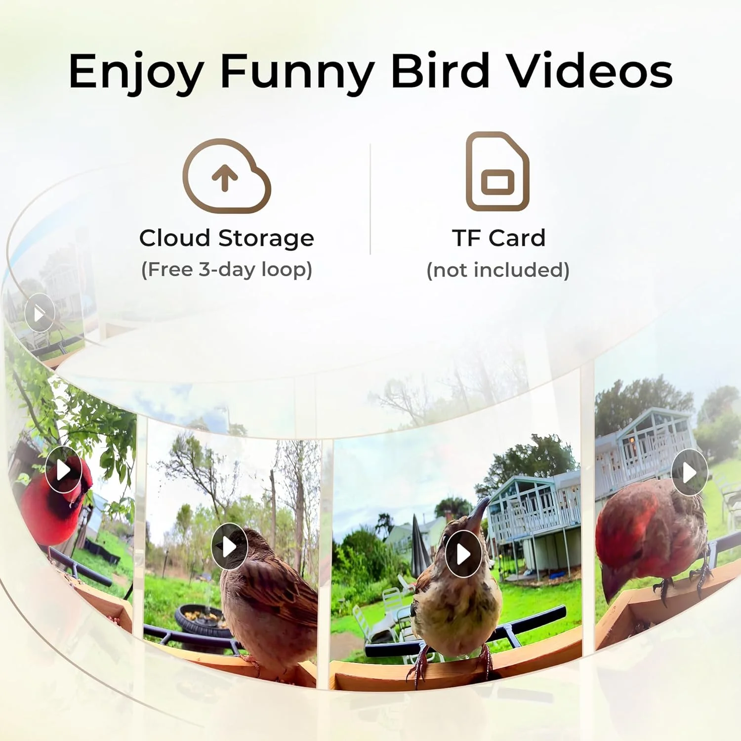TT Nature Bird Feeder with Camera, AI Identify 10,000+ Species, Auto Capture, Real-Time Notifications, Upgraded for Bird Watching with Solar Panel, Perfect Gift for Bird Lovers - Image 4