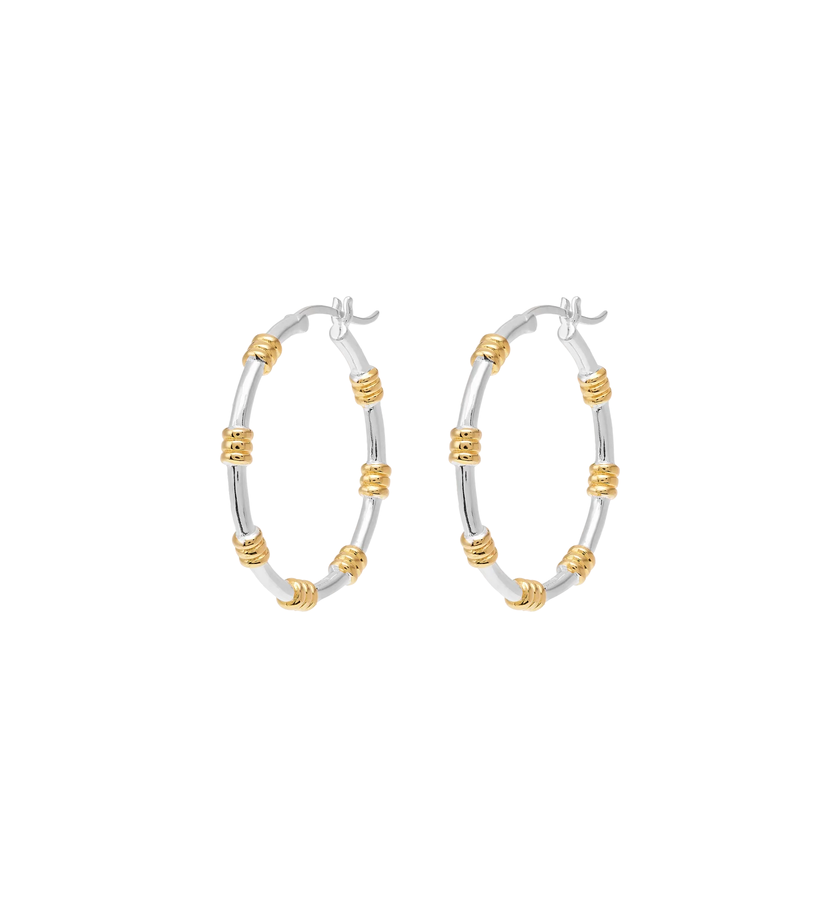 Dual Hoop Earrings