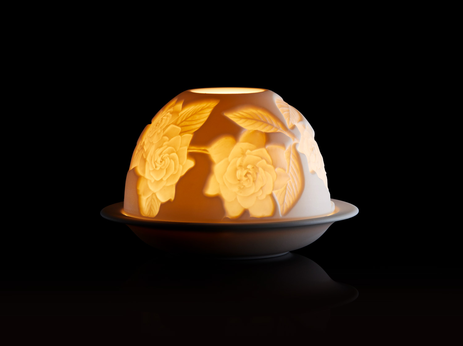 Fleurs de Gardenia Led