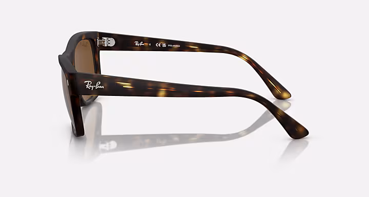 Ray-Ban RB4428