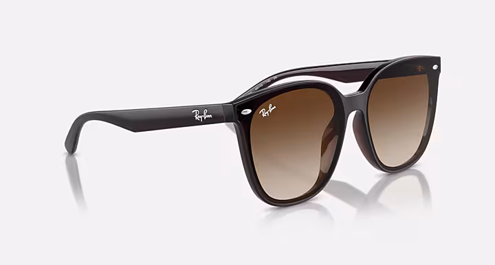 Ray-Ban RB4423D