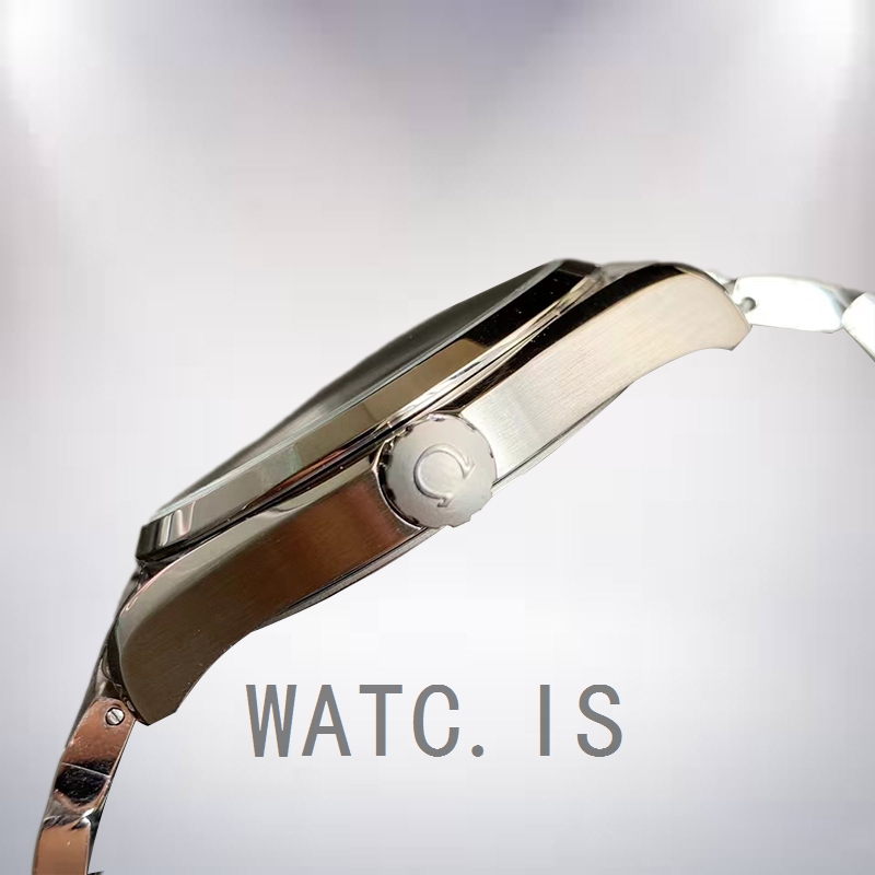 Omega Aqua Terra 40 mm 220.10.41.21.01.001 Men Bracelet