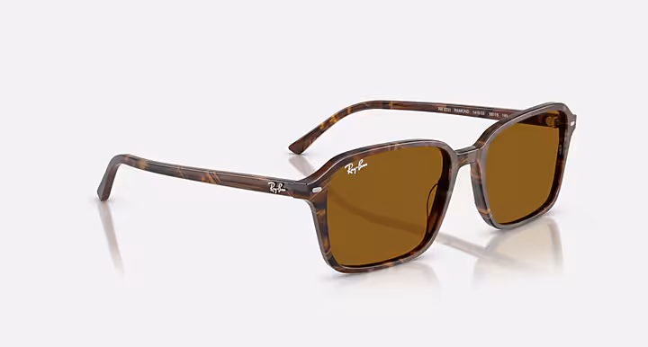 Ray-Ban RAIMOND