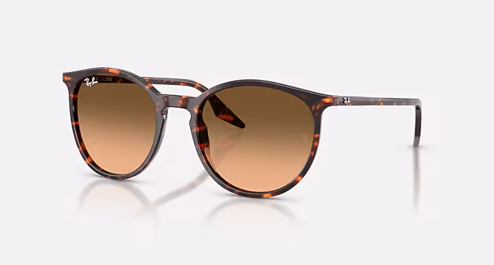 Ray-Ban RB2204