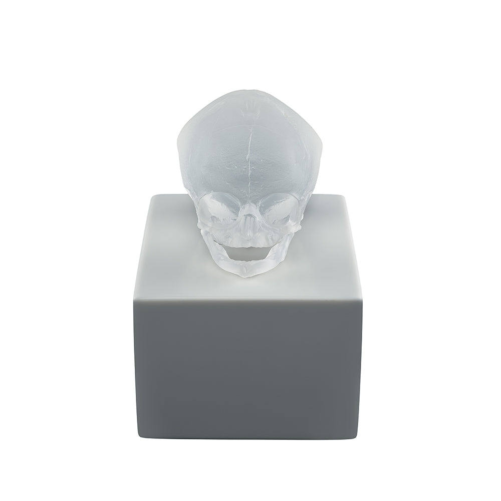 ETERNAL MEMORY DAMIEN HIRST & LALIQUE 2017 - CRISTAL INCOLORE SATINÉ, TECHNIQUE DE LA CIRE PERDUE