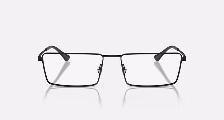 Ray-Ban EMY OPTICS