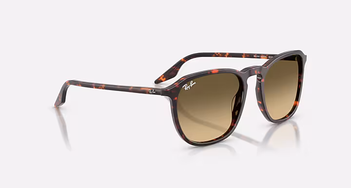 Ray-Ban RB2203