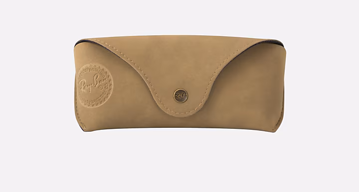 Ray-Ban SHADES SHELL LTD CASE