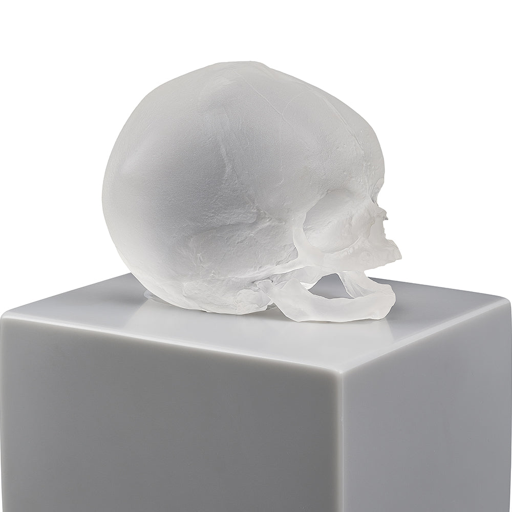 ETERNAL MEMORY DAMIEN HIRST & LALIQUE 2017 - CRISTAL INCOLORE SATINÉ, TECHNIQUE DE LA CIRE PERDUE