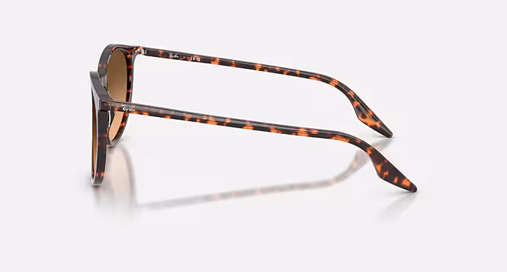 Ray-Ban RB2204