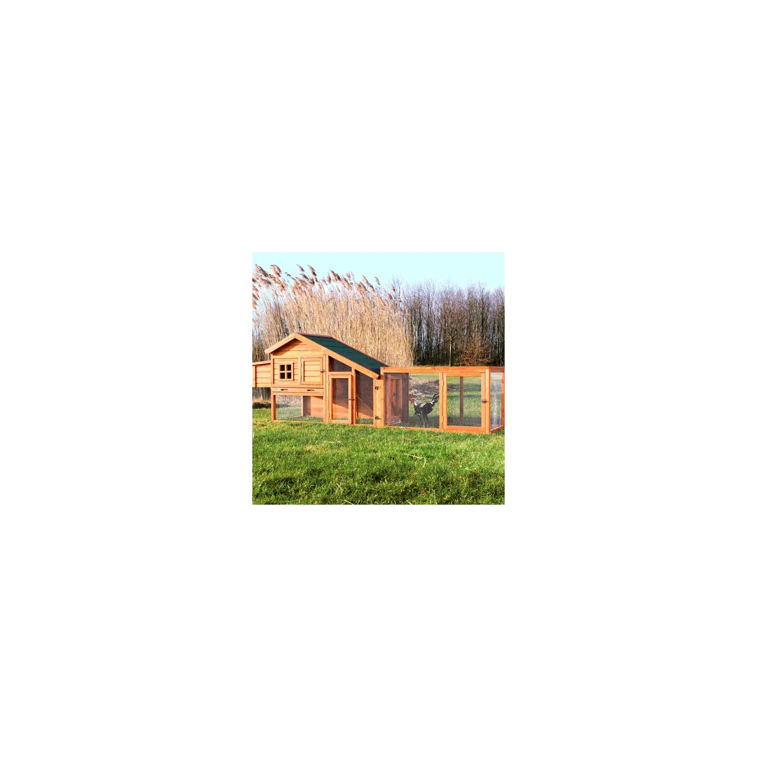 TRIXIE Weatherproof Outdoor Wooden Chicken Coop with 2 Nesting Boxes & Run, Brown - Image 10